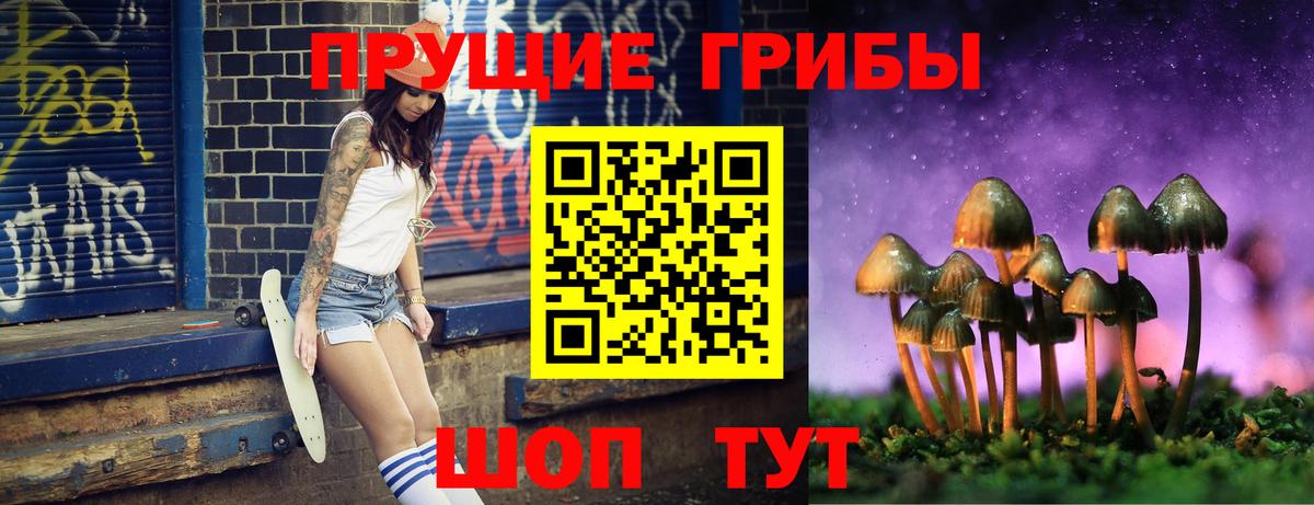Псилоцибиновые грибы ЛСД Бугуруслан