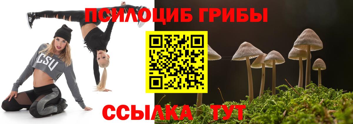 Галлюциногенные грибы MAGIC MUSHROOMS  Вход с VPN  Бугуруслан 